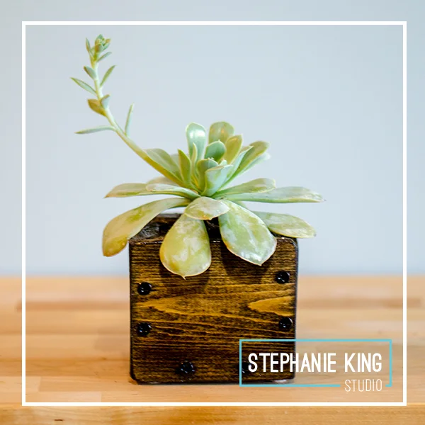 StephanieKingStudio_wood_planter_box_small_2.jpg
