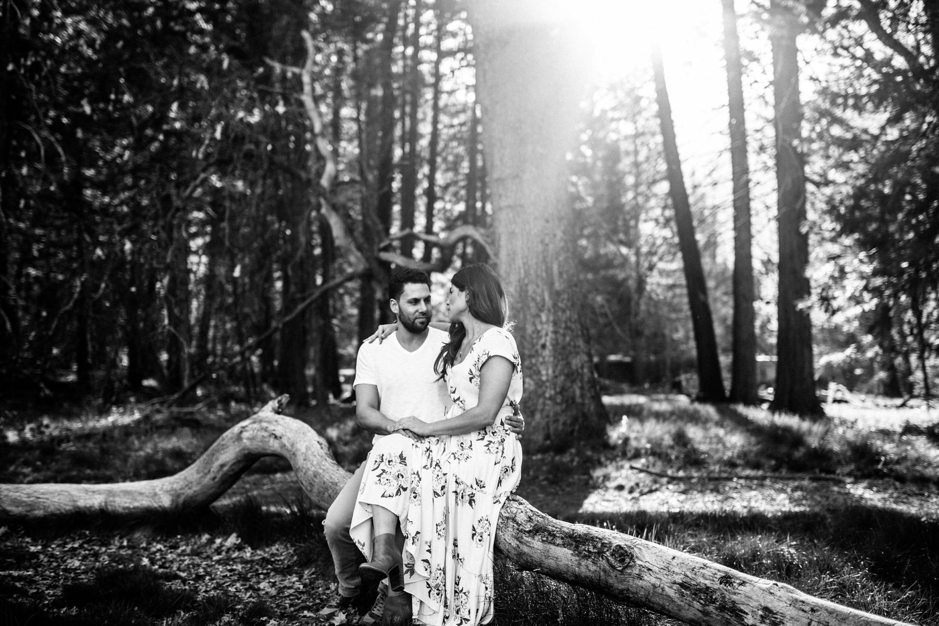 B&W Sun Flare Yosemite Couple Shoot