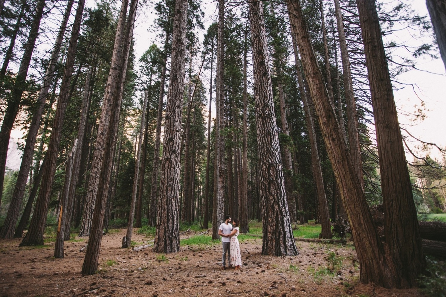 Couple in Ponderosa Pines Yosemite