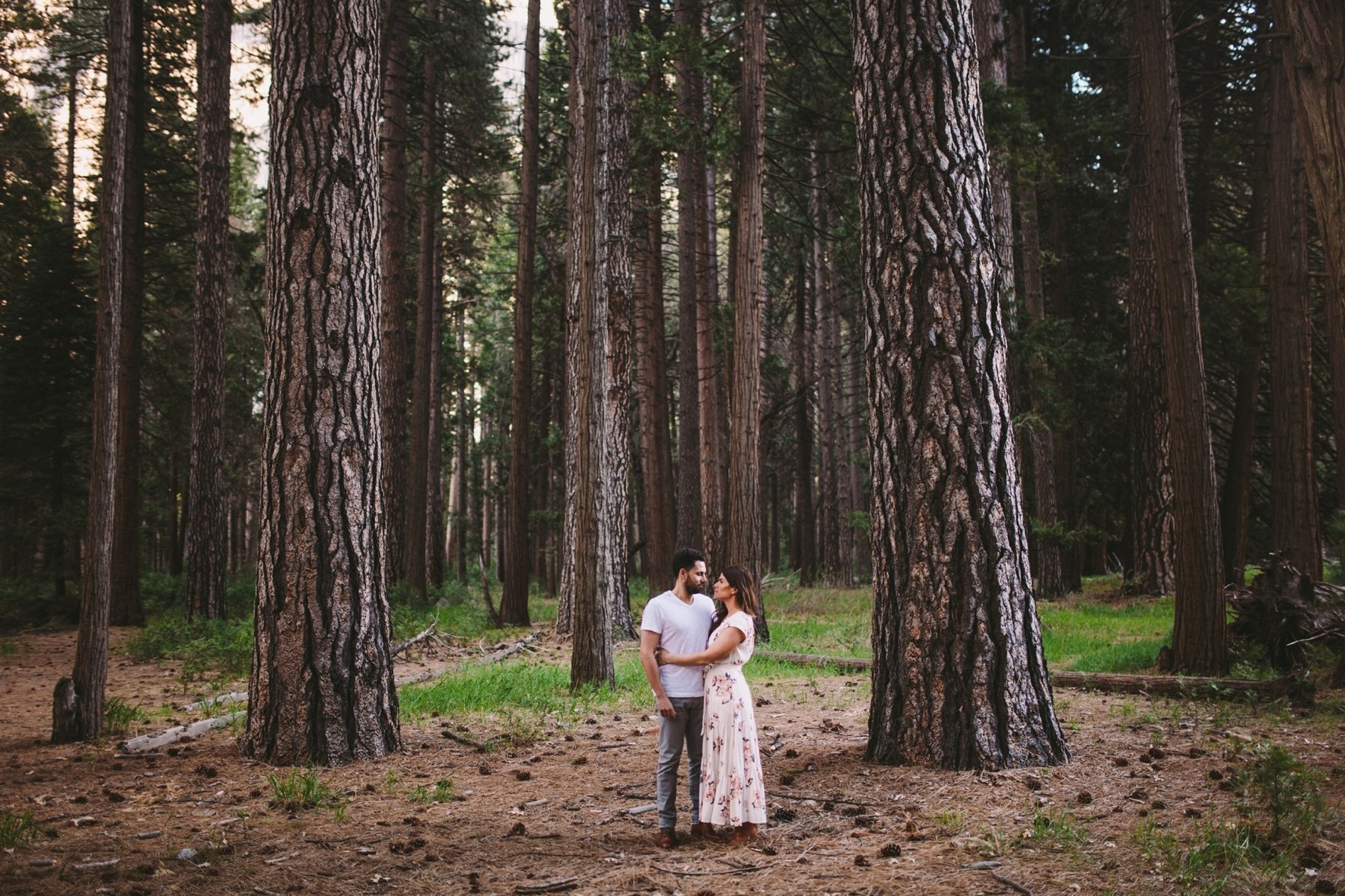 Couple in Yosemite Ponderosa Pine Woodland