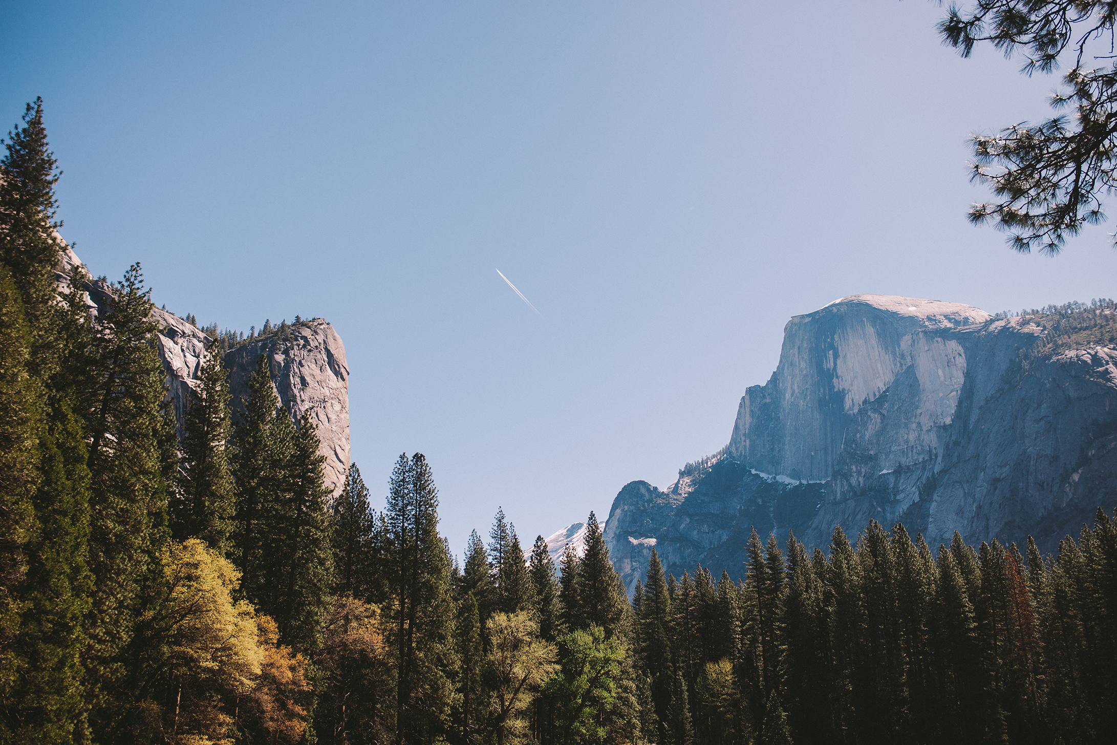 Yosemite Half Dome with Treeline.jpg