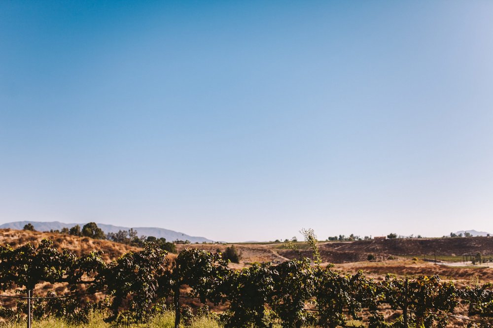 Falkner Winery Temecula Wedding Photography 42.jpg