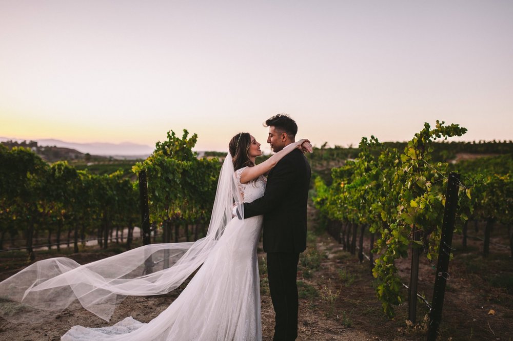 Falkner Winery Vineyards Wedding Photography Bride & Groom Couple Portraits