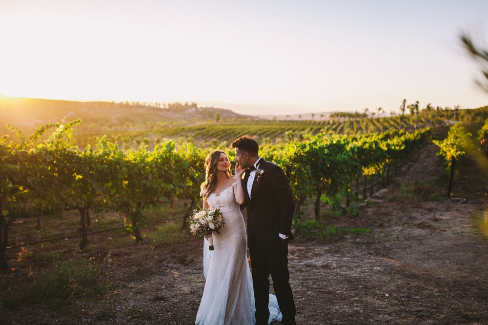 Falkner Winery Vineyards Wedding Photography Bride & Groom Couple Portraits