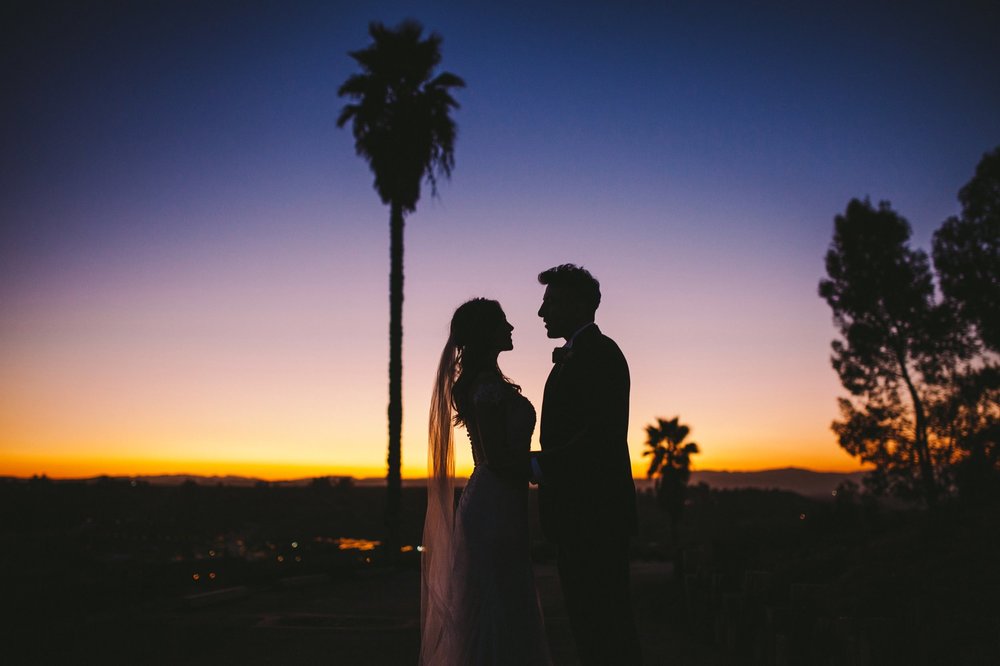 Wedding Sunset Silhouette Bride and Groom Portrait with a Palm Tree