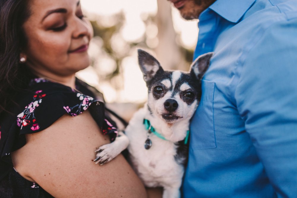 Presidio Park San Diego Engagement Session Photography-11.jpg