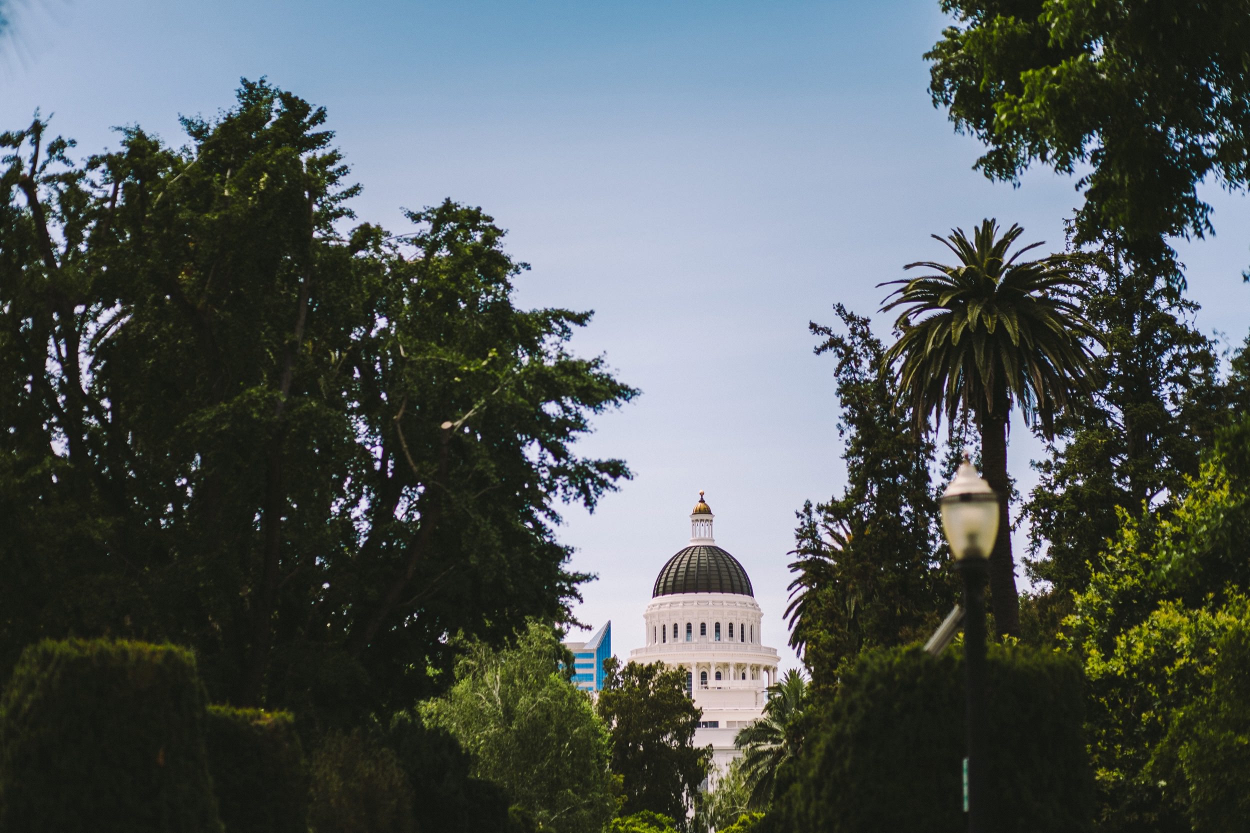 Sacramento Sutter Club & Capitol Building Wedding-2.jpg