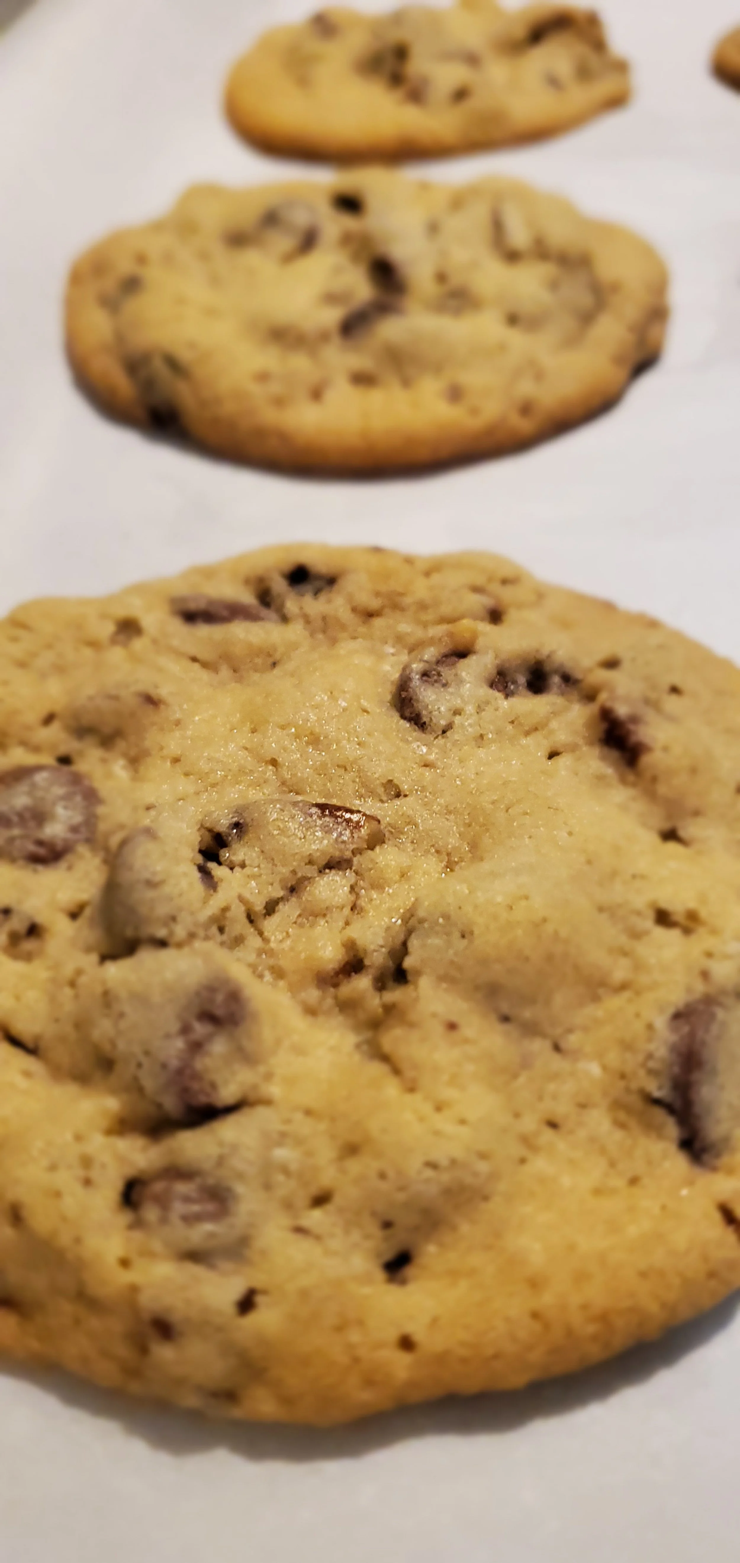 Chocolate Chip Cookie pic.JPEG