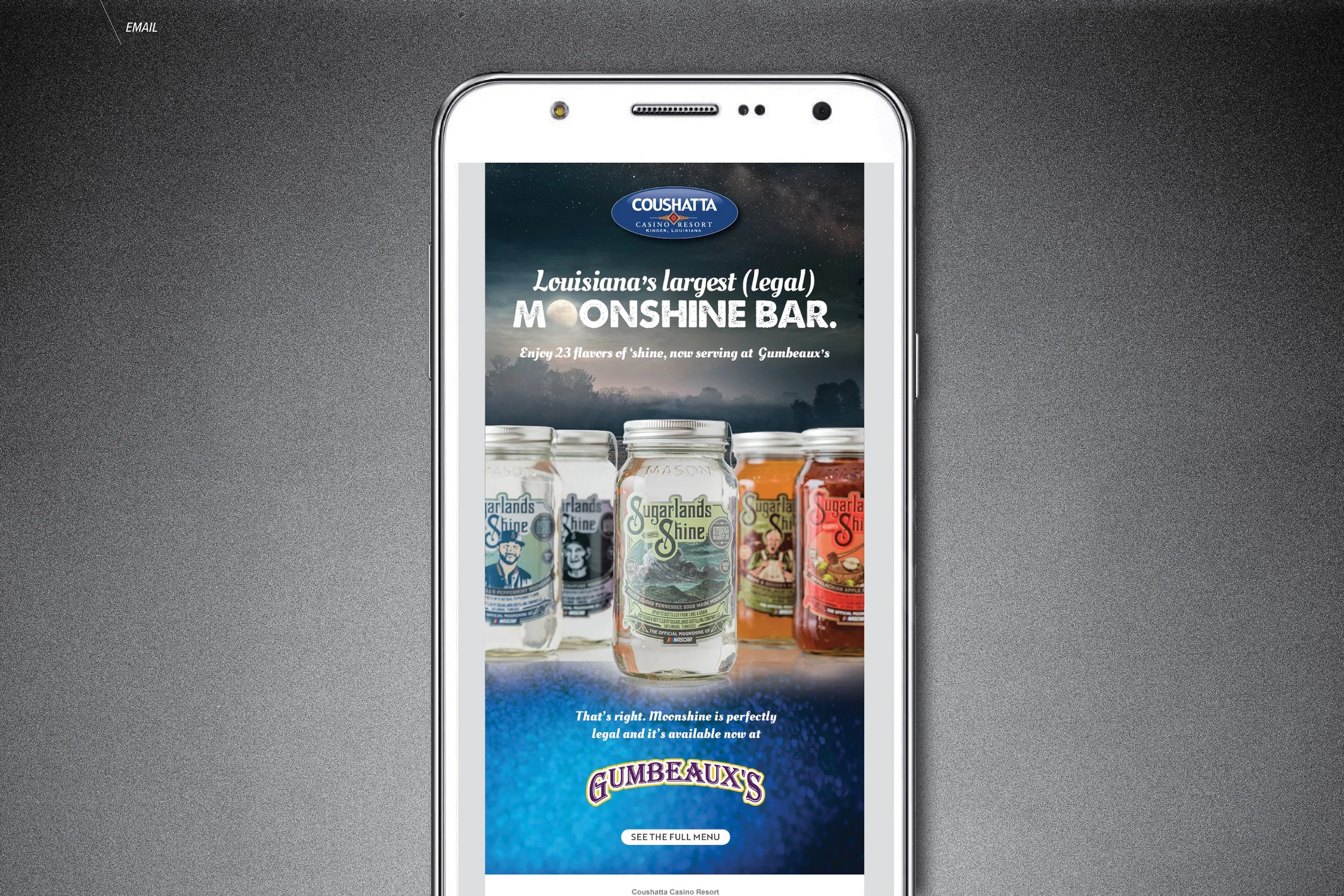 Moonshine_Campaign5.jpg