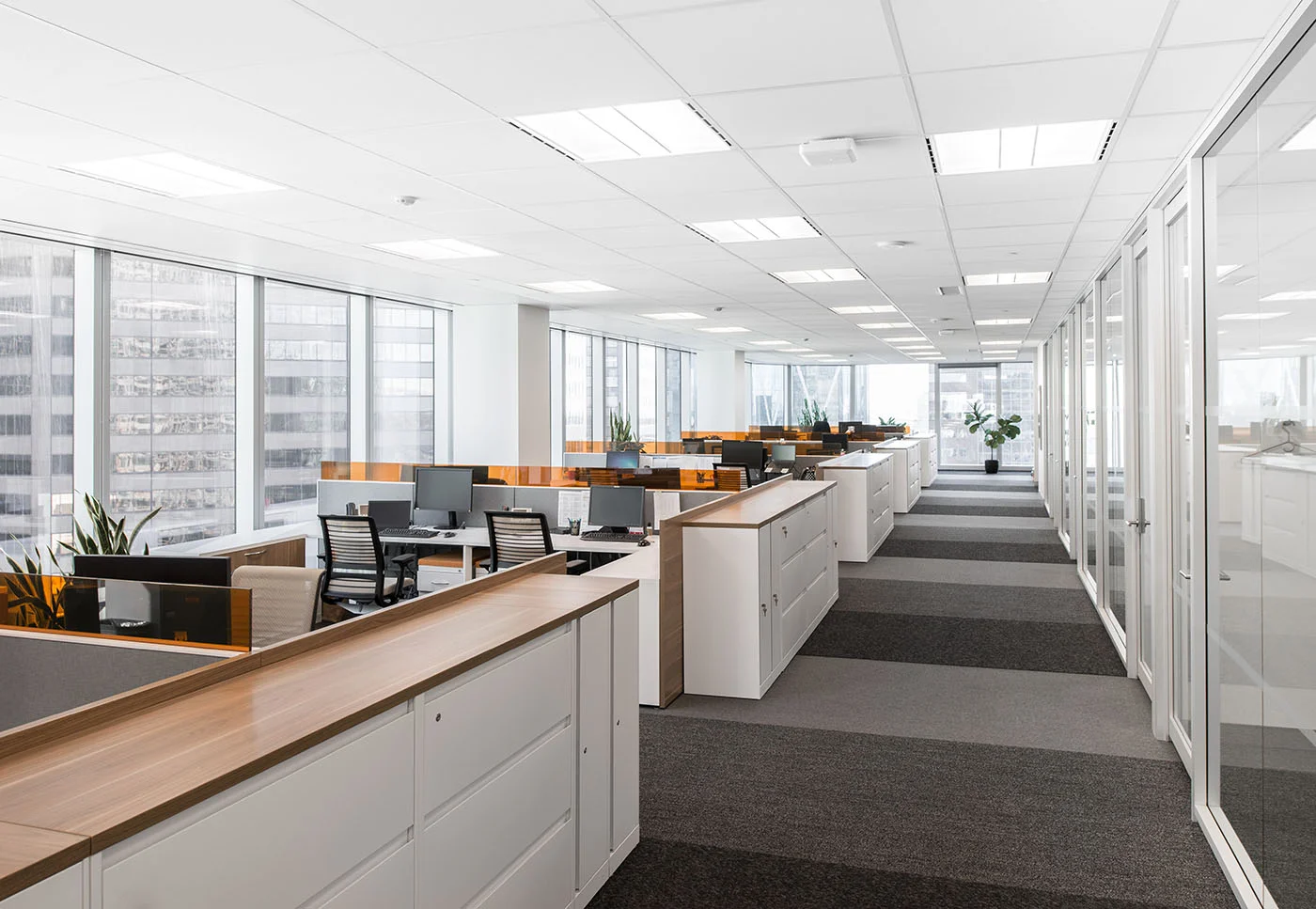 Scotiabank Office 01.jpg