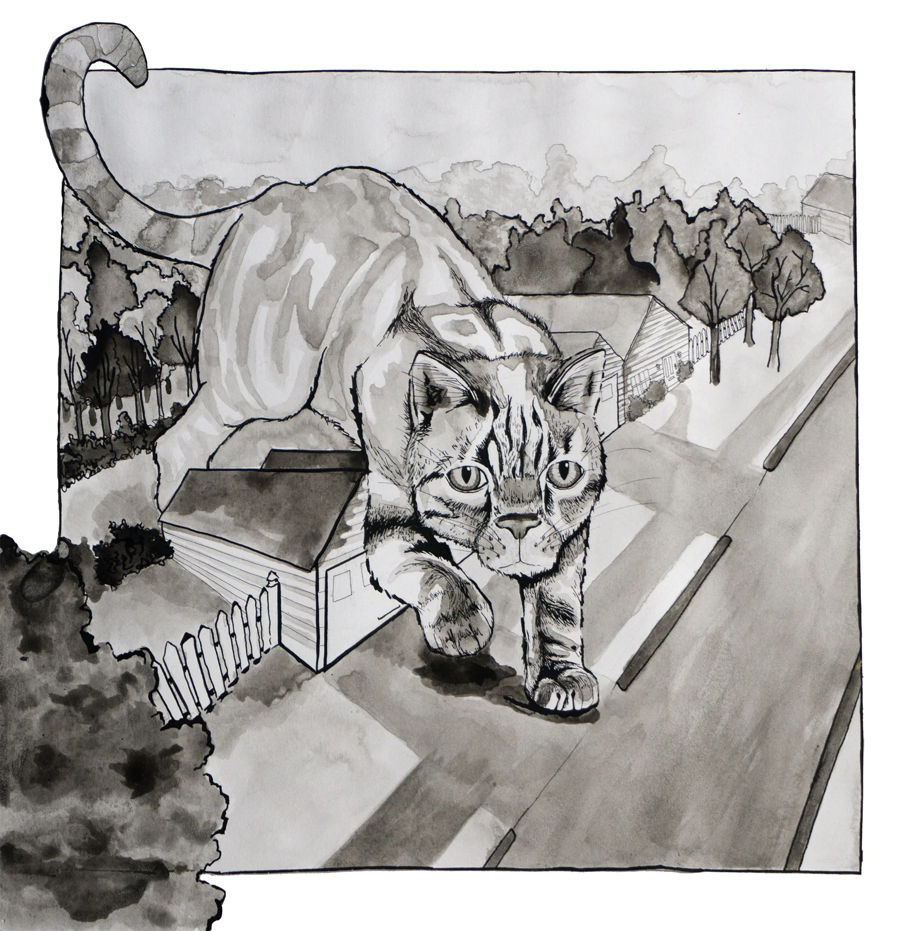 Gigantic Feline