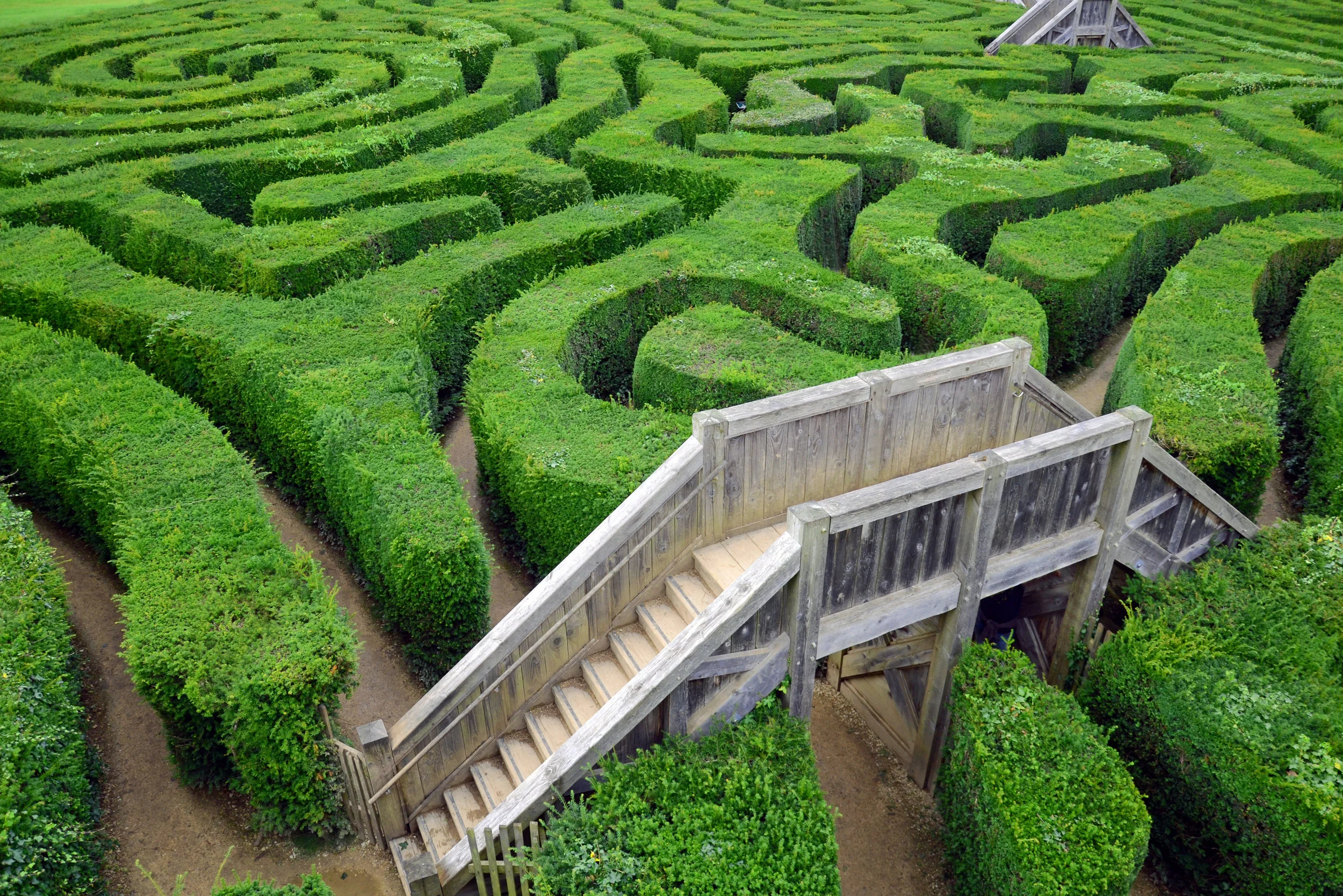 13 Tell-Tale Signs You Are Finding Your Purpose In Life