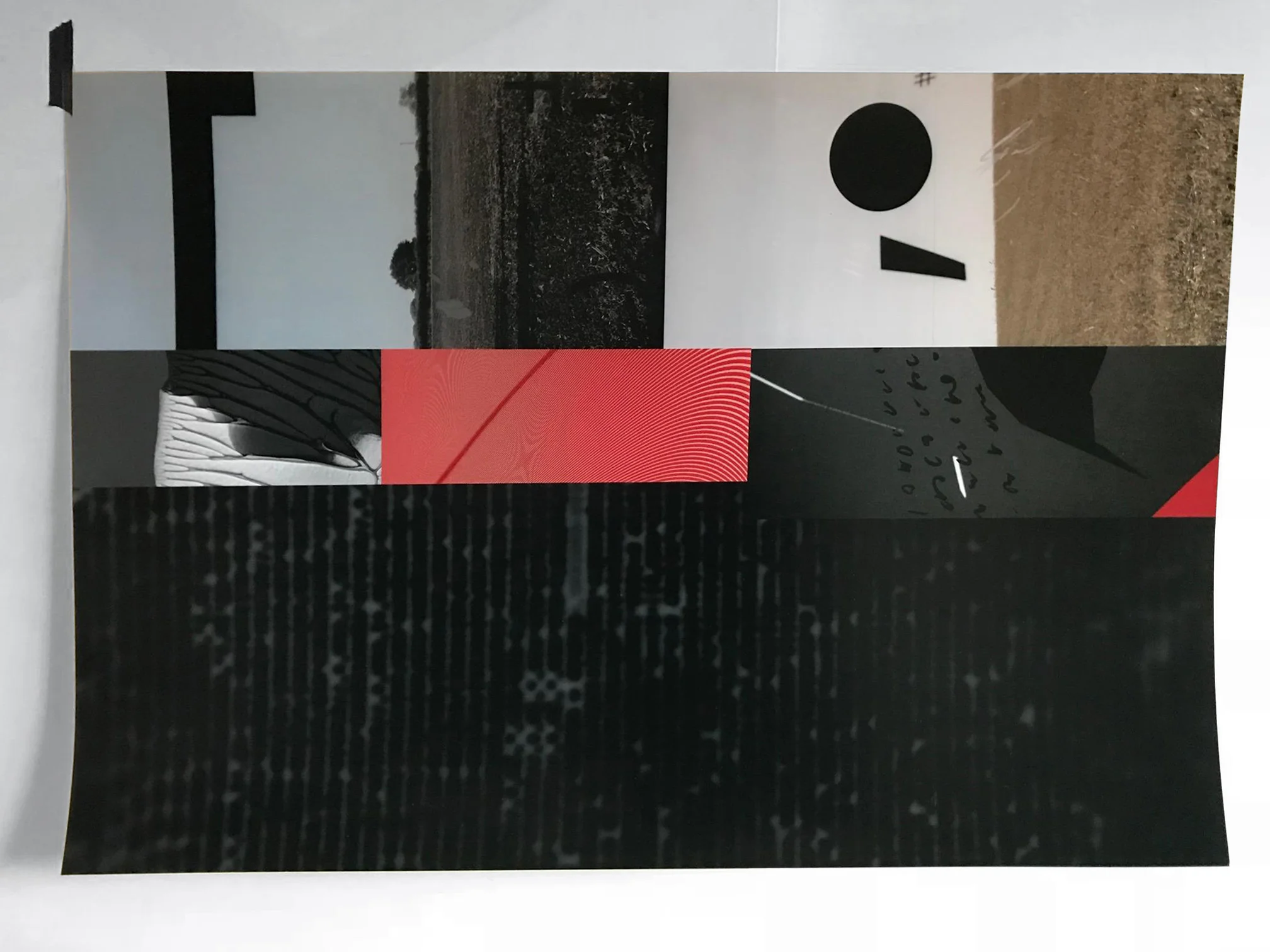 test strip.jpg