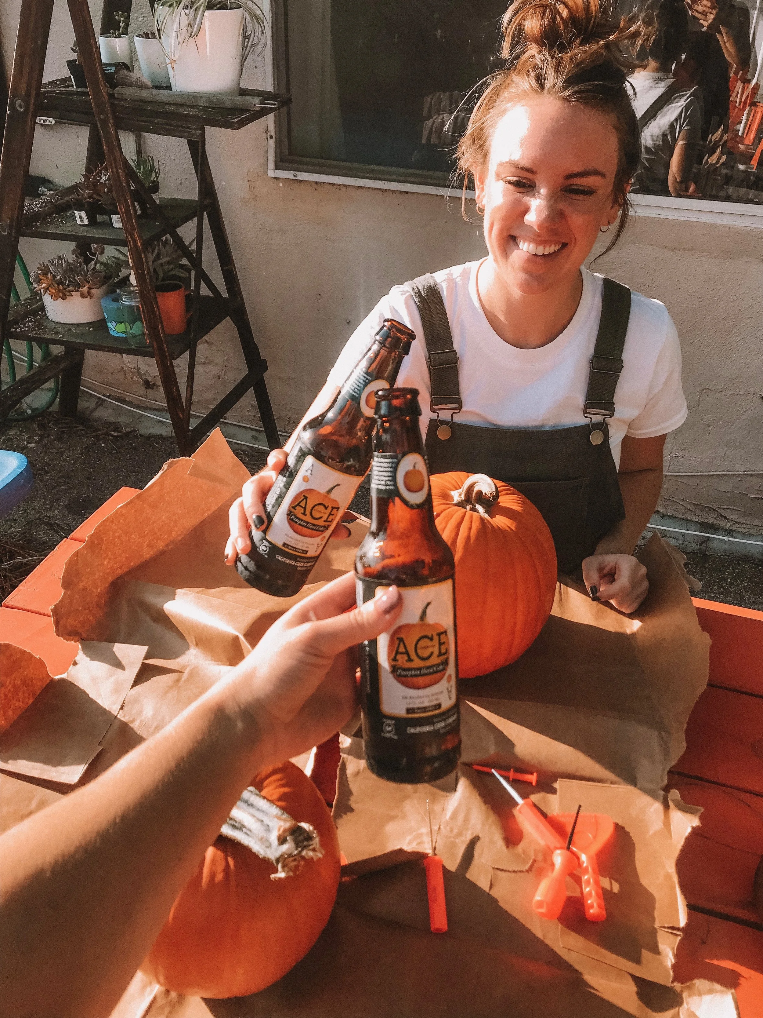 Fall Flavor | Pumpkin Cider 