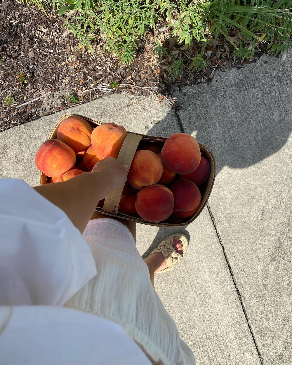 Just a girl &amp; her basket of fresh peaches 🍑 #peachseason #farmersmarket