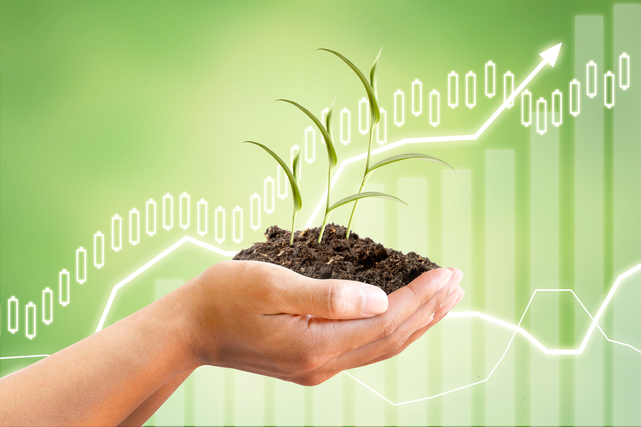 iStock-522800952.jpg