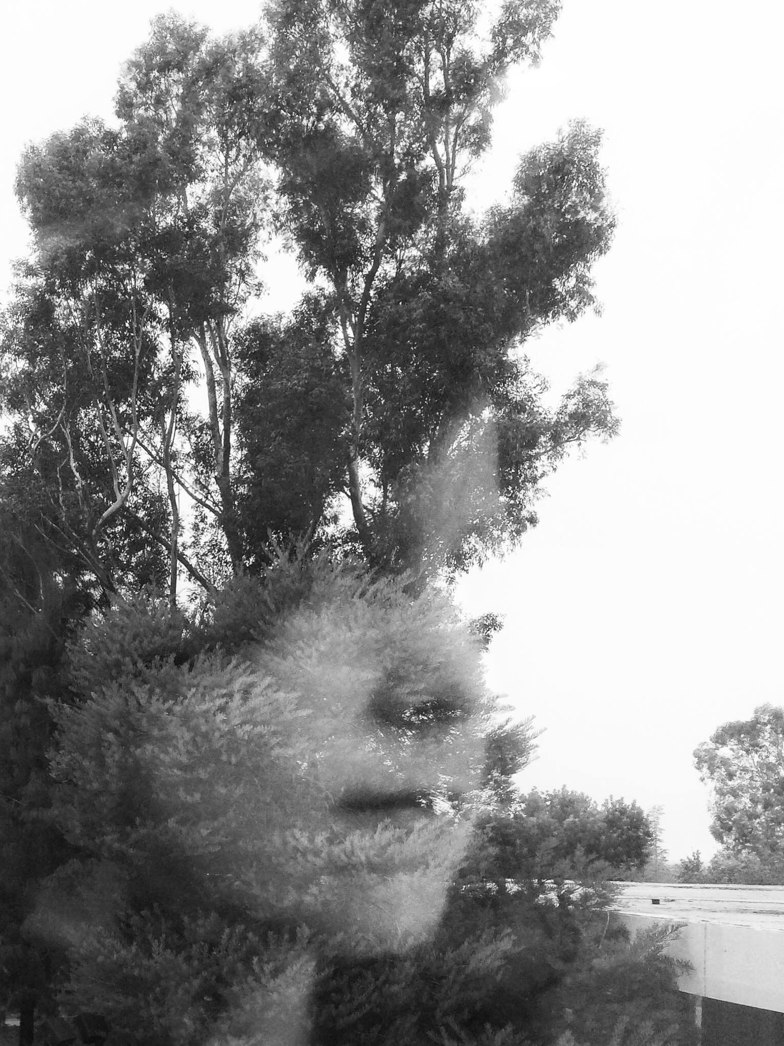 Self-portrait in window, CalArts (2015)