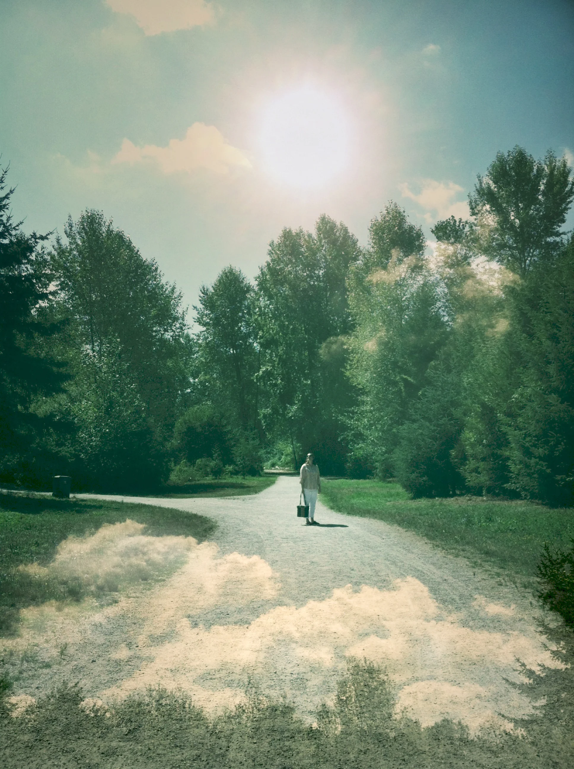 Clouds underfoot (2013)