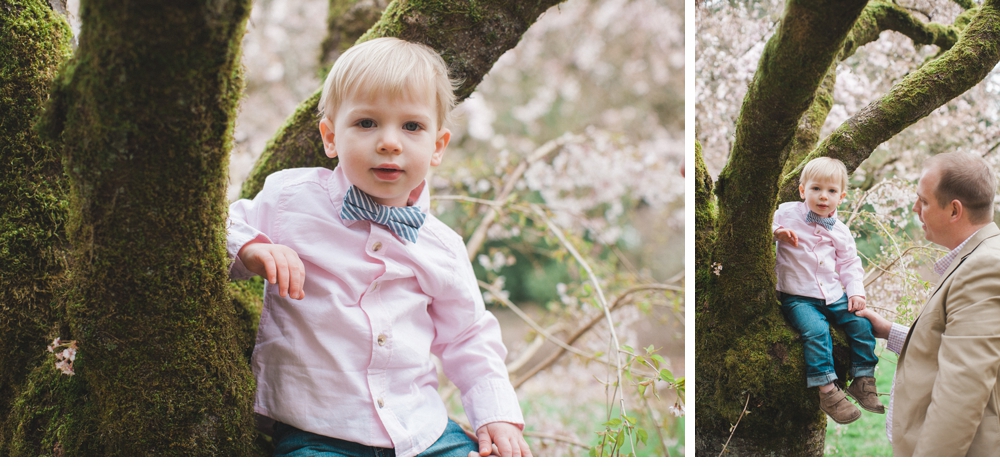 spring_Family_Lifestyle_Portrait_Session_Seattle_Arboretum_cherry_blossoms 2.jpg