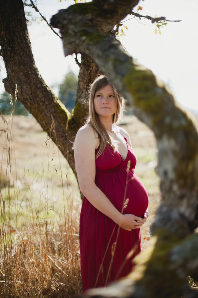 pregnant woman in red dress in curve of tree