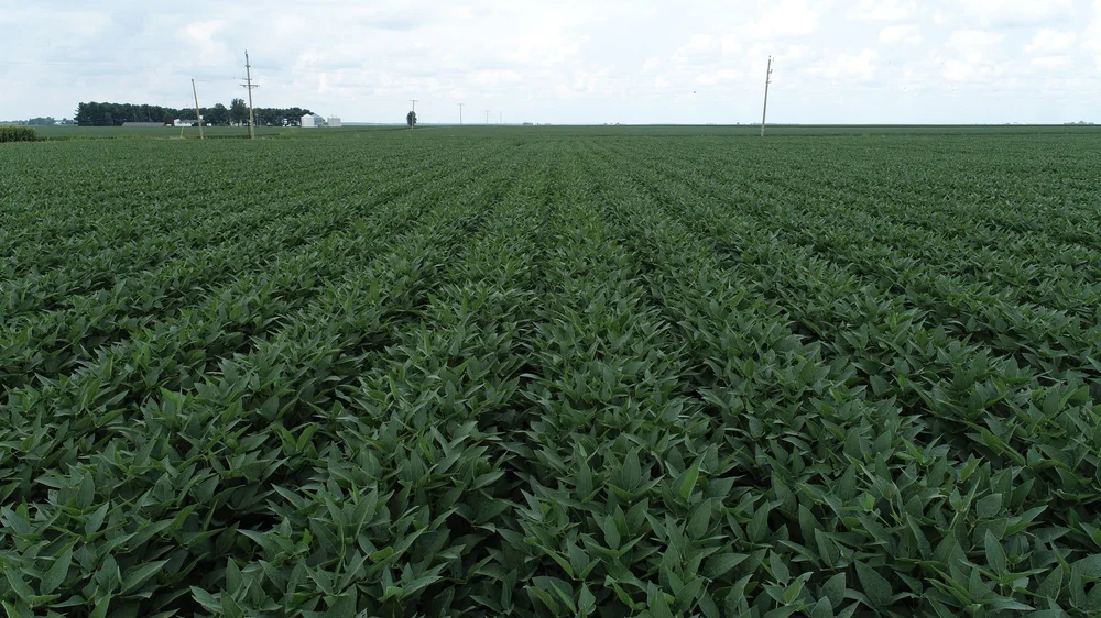 Christian County Farms — Field Level Agriculture, Inc.