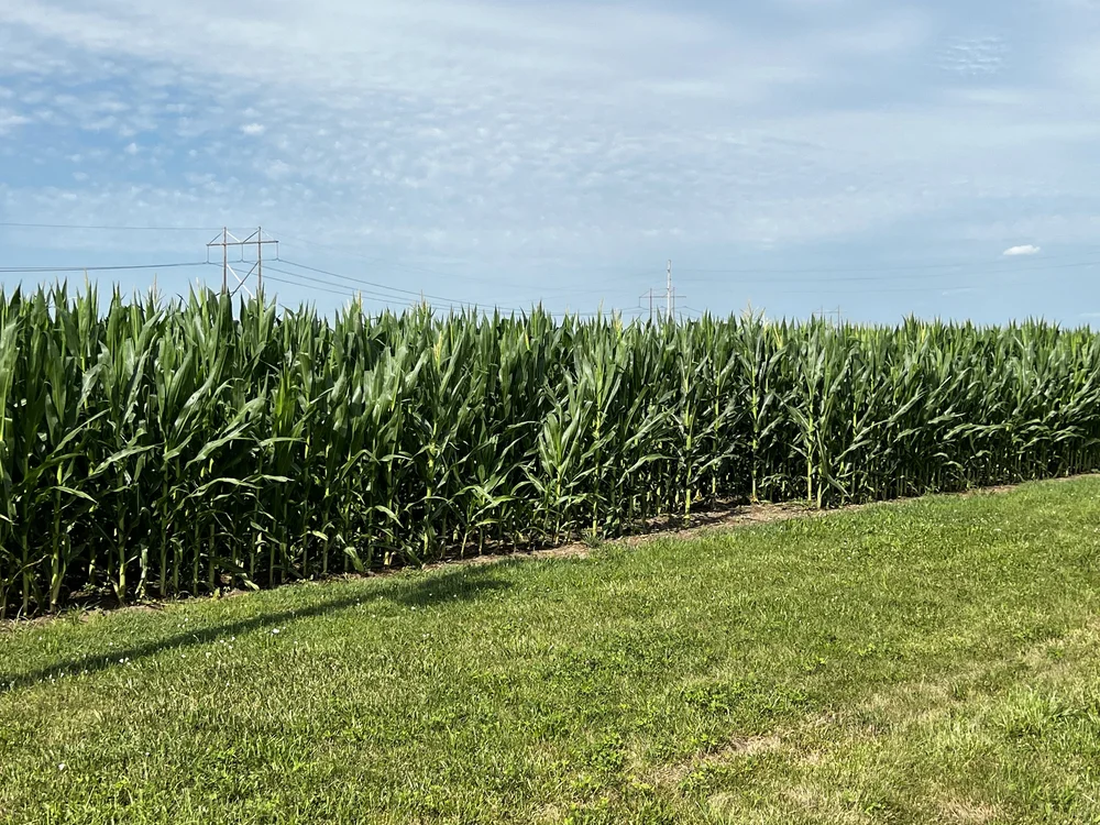 GrissomMaroa North Farm — Field Level Agriculture, Inc.