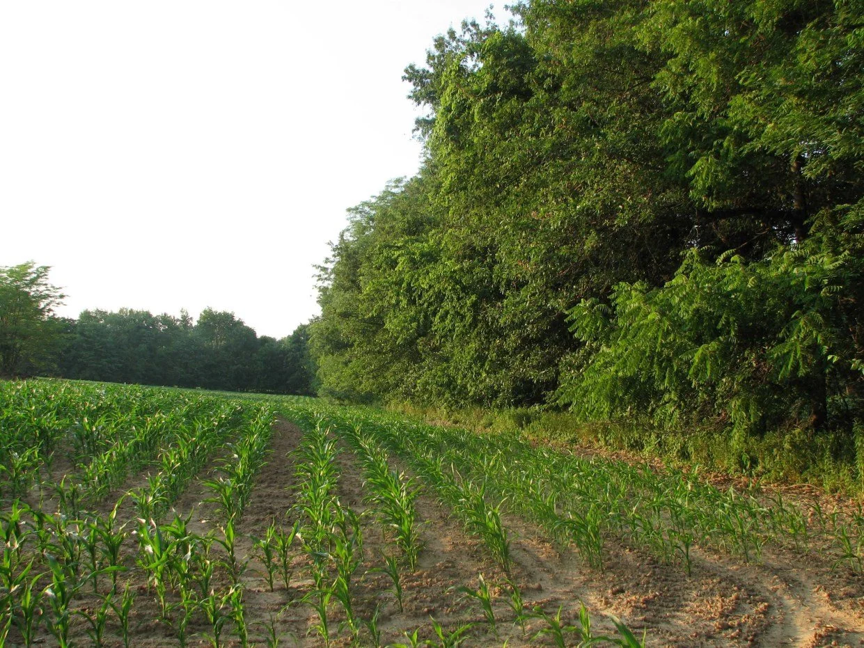 McLaughlin Farm — Field Level Agriculture, Inc.