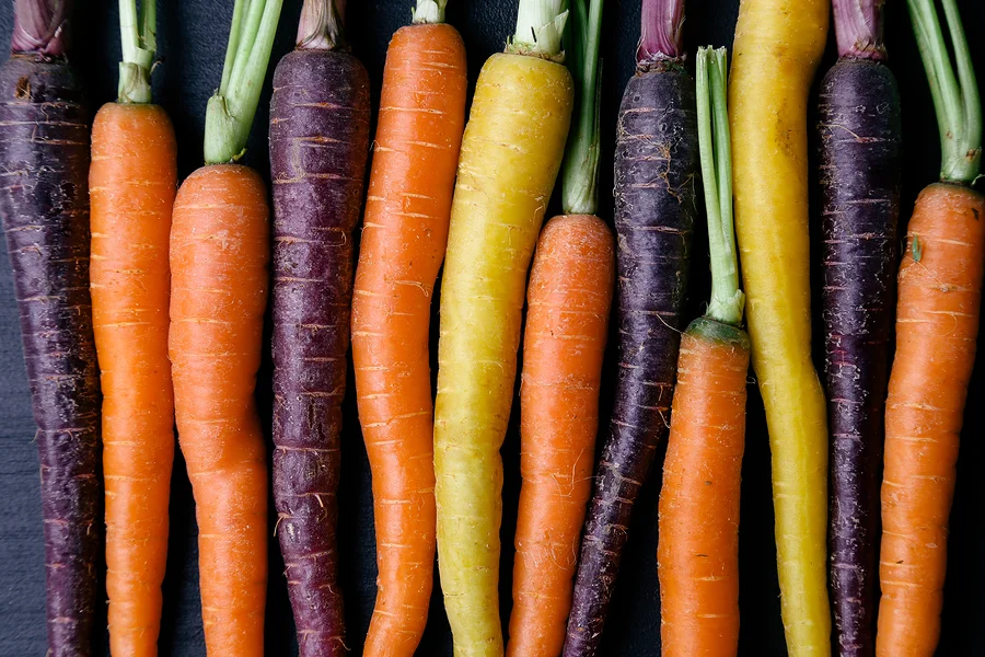 Food. Delicious carrot on the wooden table
