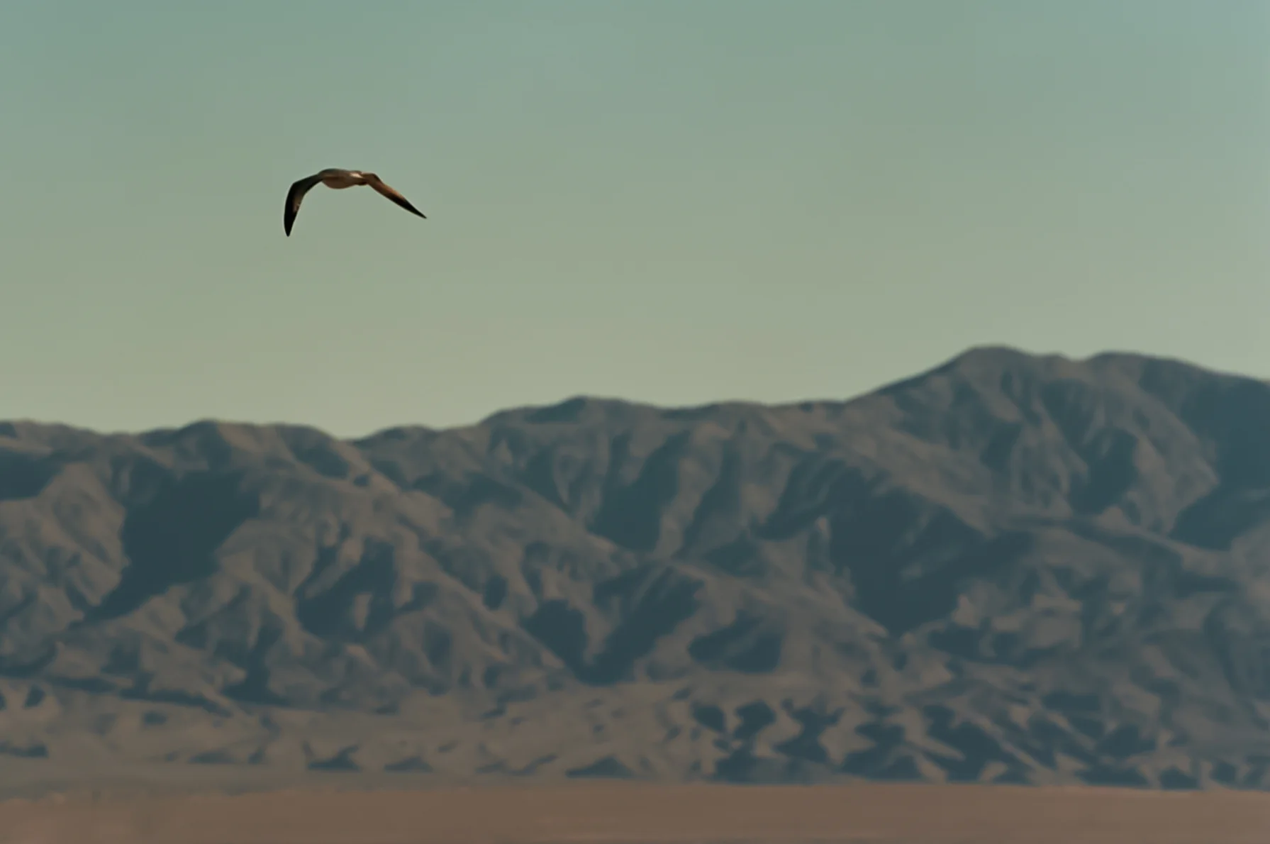 Flight-over-Anza-Borrega.jpg
