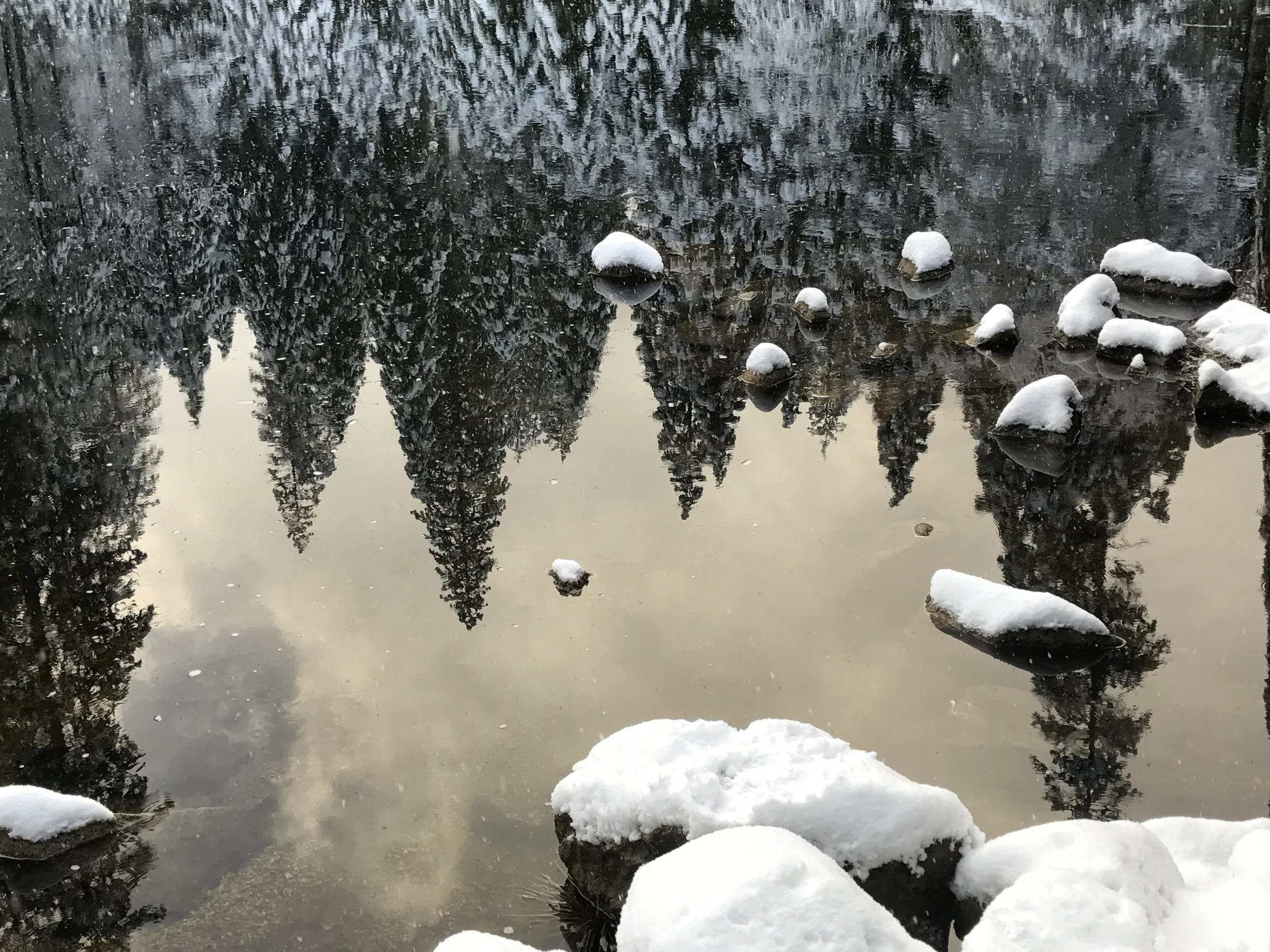 Snowy-Sunset-in-Yosemite.jpg