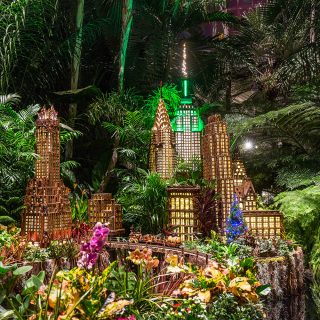 New York Botanical Garden