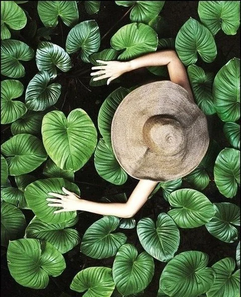 Immerse yourself in the healing properties of nature from the comfort of your bathroom with LeQure. All of our products are infused with potent natural medicine to help heal, nourish and assist the detoxification process of the body. ⁠
⁠
#lequre #leq