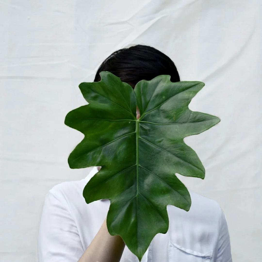 Harness the healing powers of nature with @lequrebody. All of our products are derived from all natural ingredients, biodegradable and reusable packaging, 100% vegan and never tested on our animal friends.⁠
⁠
⁠
#soakawayyoursins #leQuredetox #detoxbo