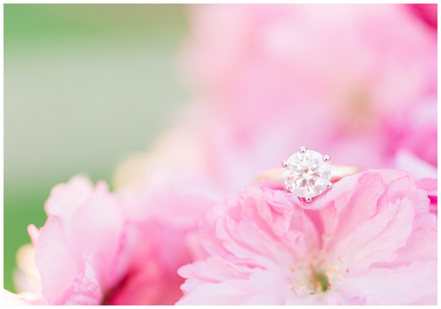 goodale-park-columbus-engagement-photos_0010.jpg