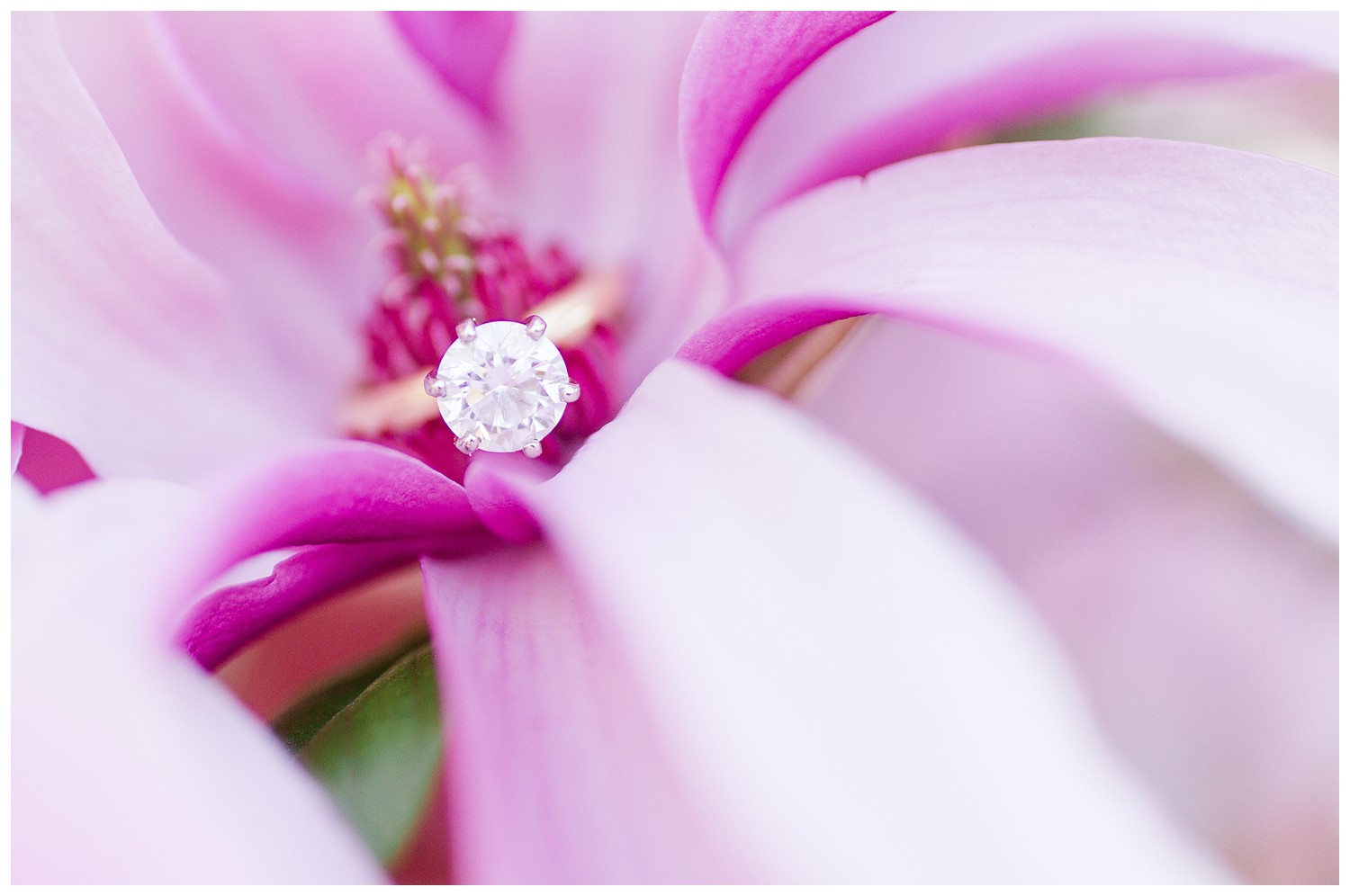 goodale-park-columbus-engagement-photos_0012.jpg