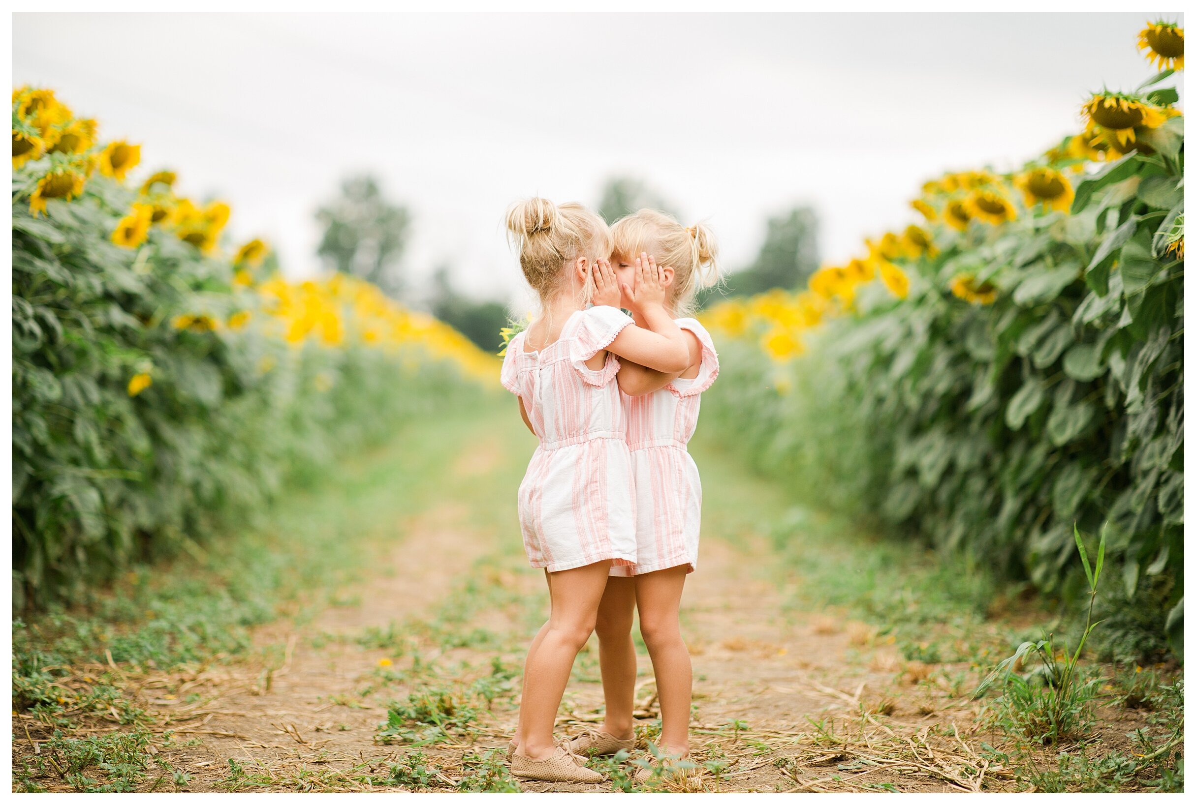 sunflower-field-columbus-ohio-hendren-farmers_0116.jpg