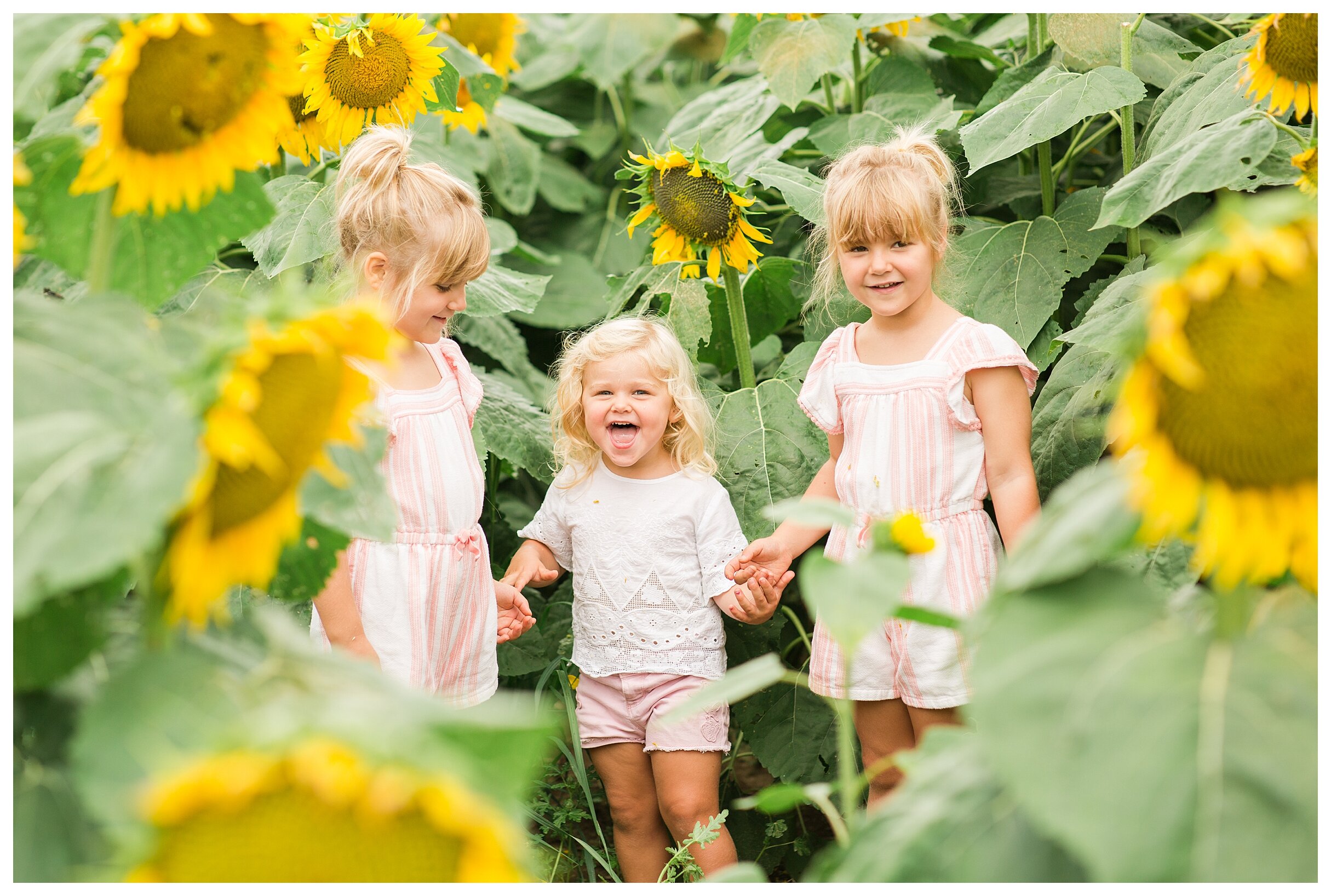 sunflower-field-columbus-ohio-hendren-farmers_0120.jpg