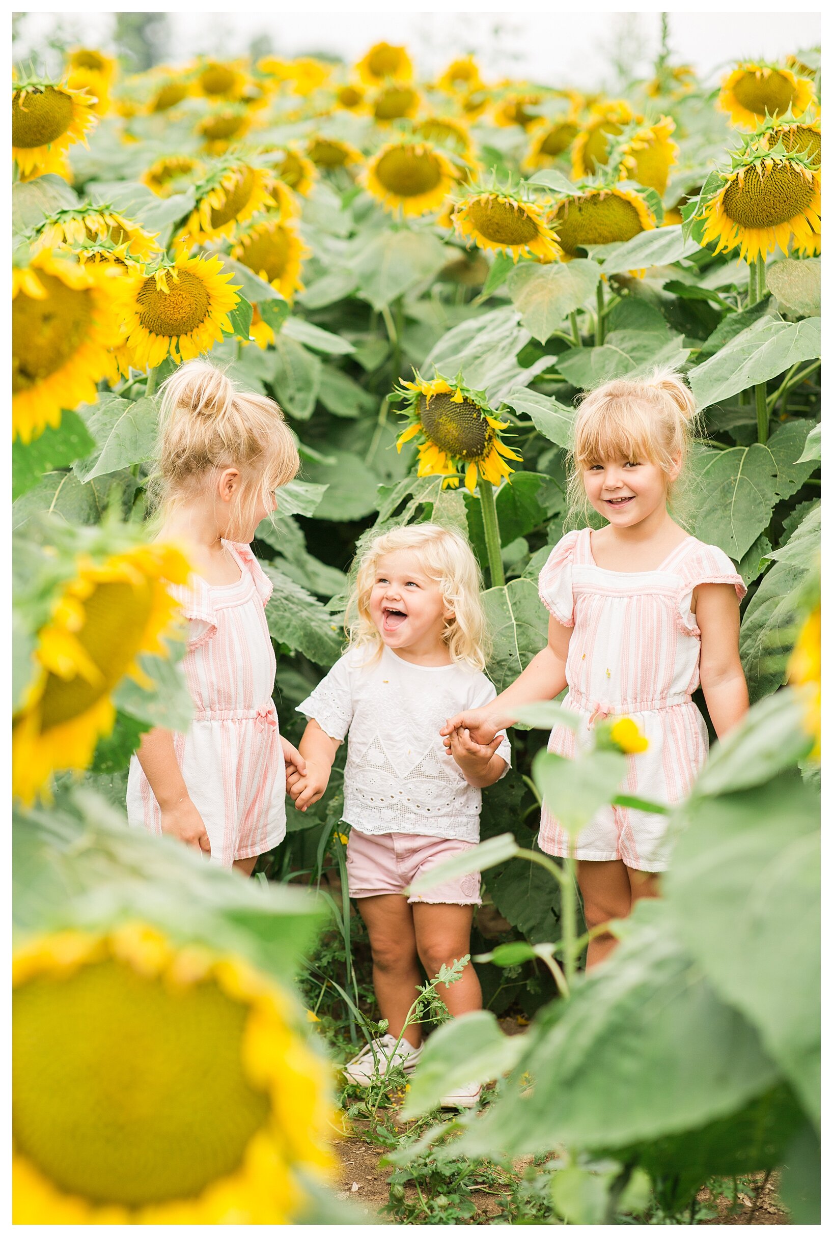 sunflower-field-columbus-ohio-hendren-farmers_0122.jpg