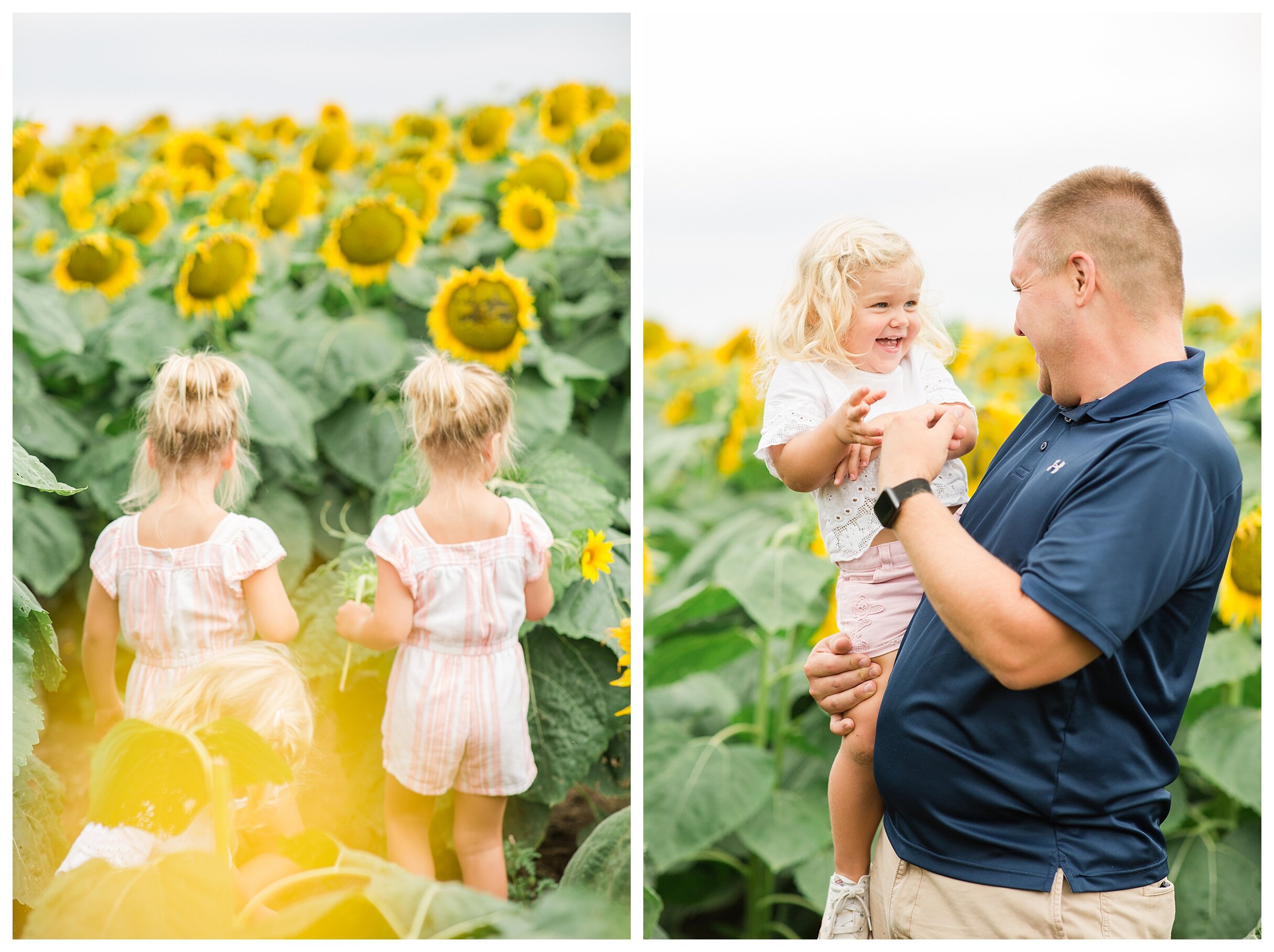sunflower-field-columbus-ohio-hendren-farmers_0125.jpg