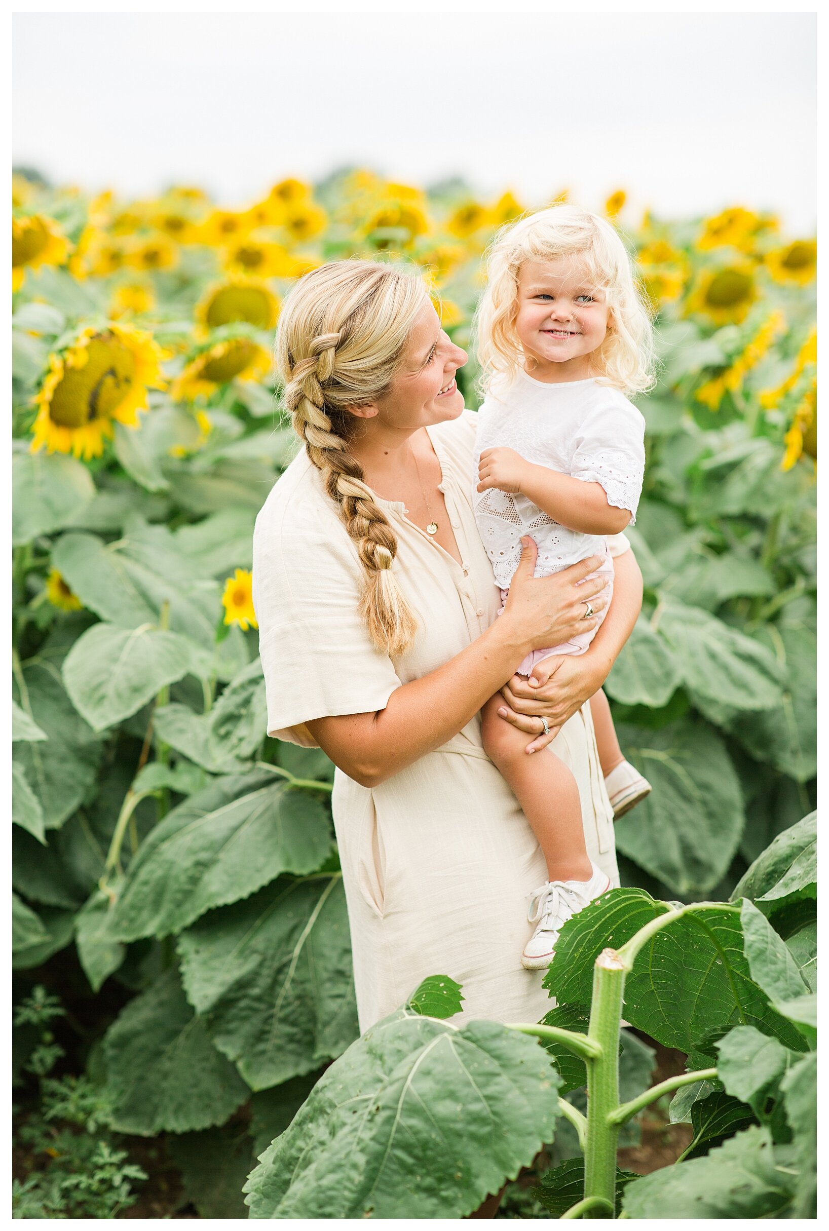 sunflower-field-columbus-ohio-hendren-farmers_0129.jpg