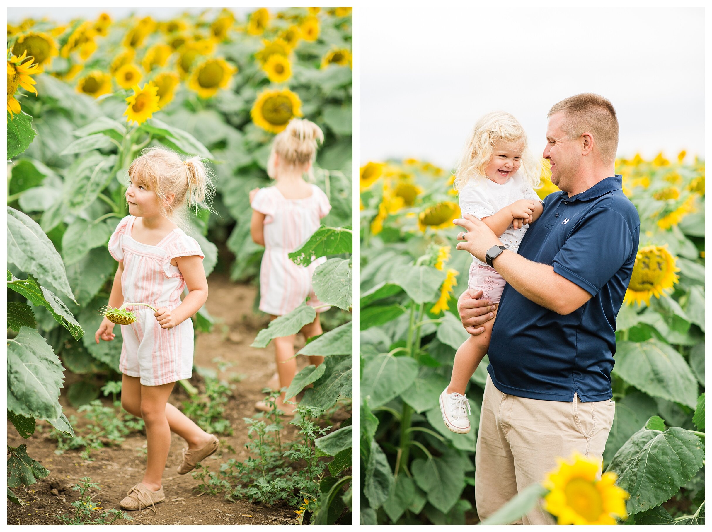 sunflower-field-columbus-ohio-hendren-farmers_0131.jpg