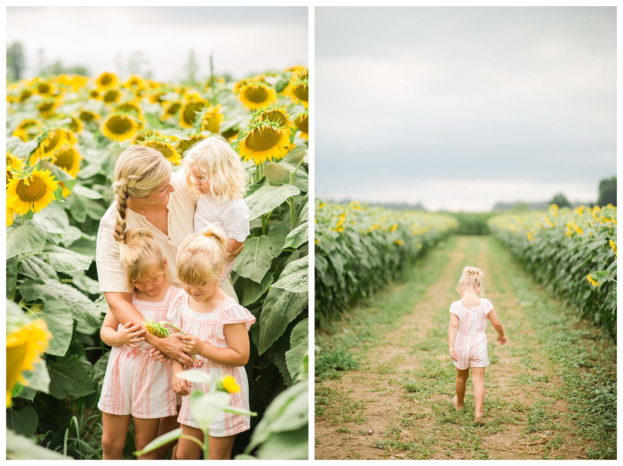sunflower-field-columbus-ohio-hendren-farmers_0140.jpg