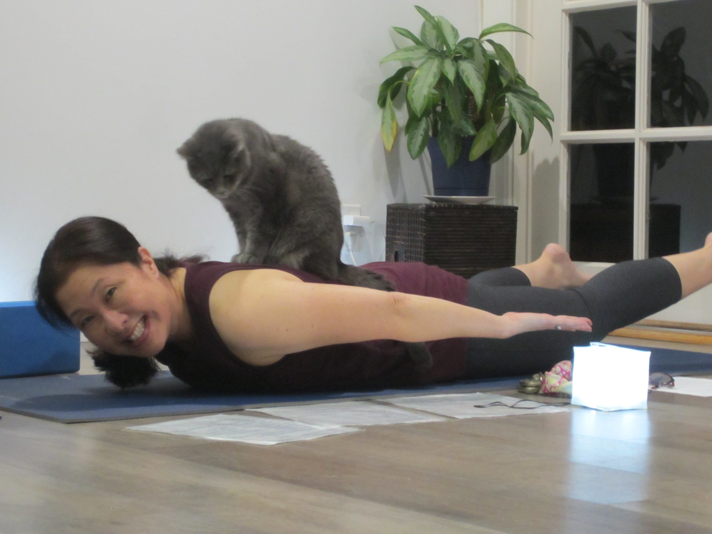 Nancy teaching Zoom yoga with BNL 1.JPG