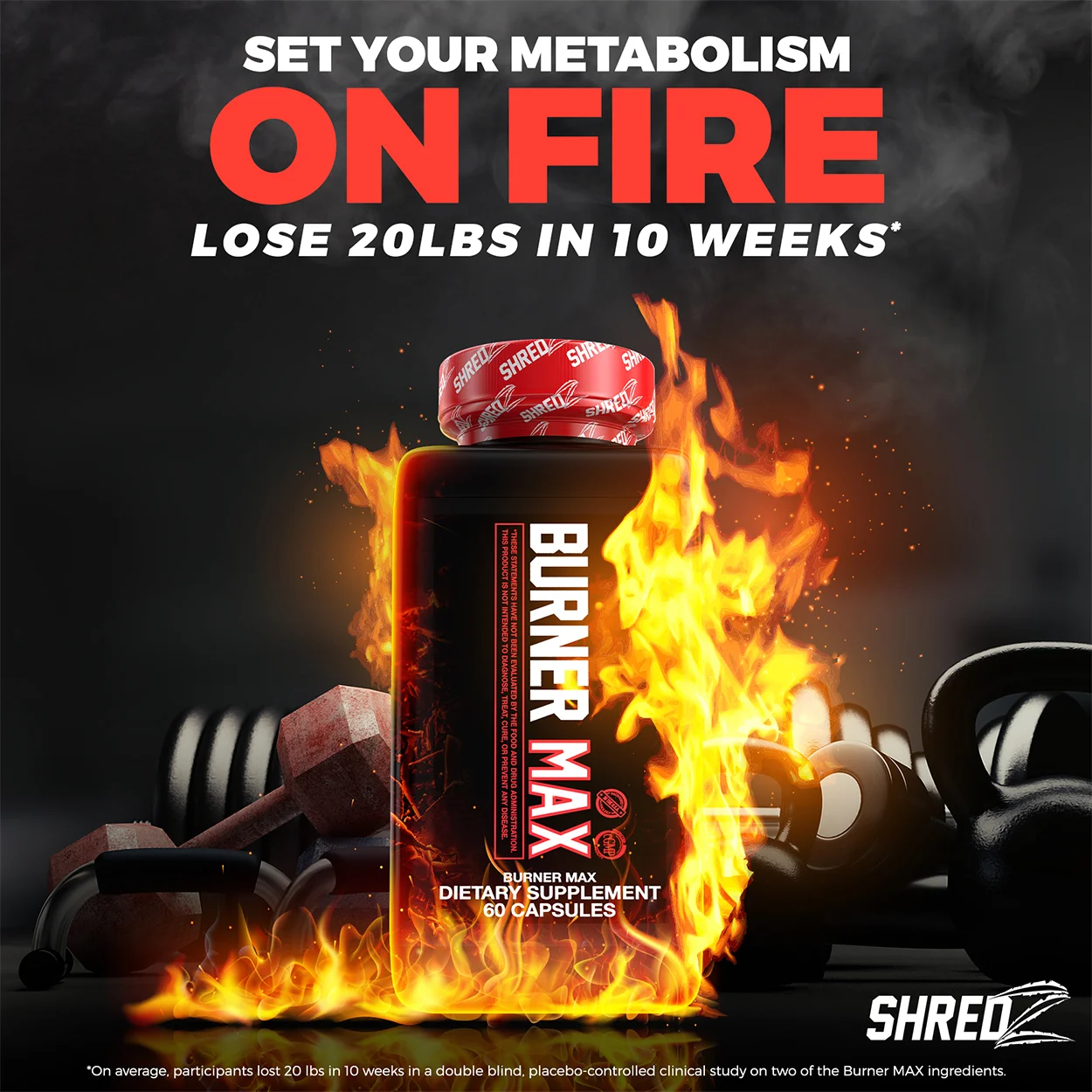shredz_galleryimages_setyourmetabolismonfire.jpg