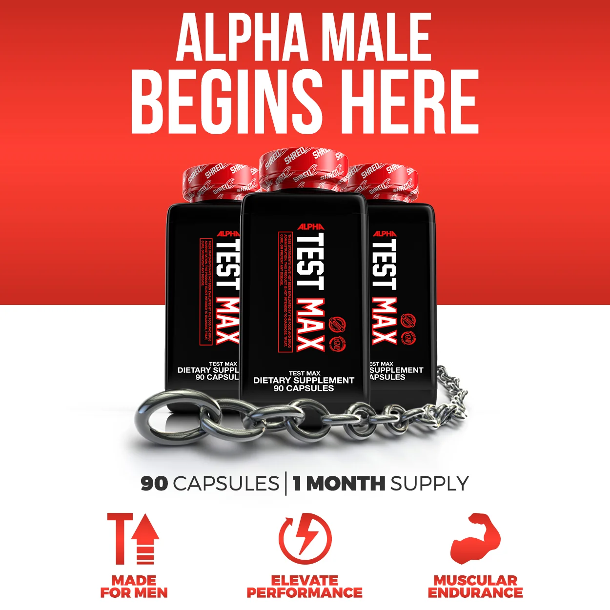 shredz_galleryimages_alphamalebeginshere.jpg