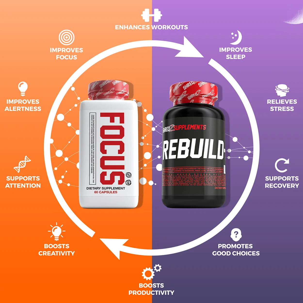 shredz_galleryimages_limitless_AMPM.jpg