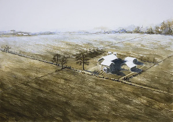 White Roofs