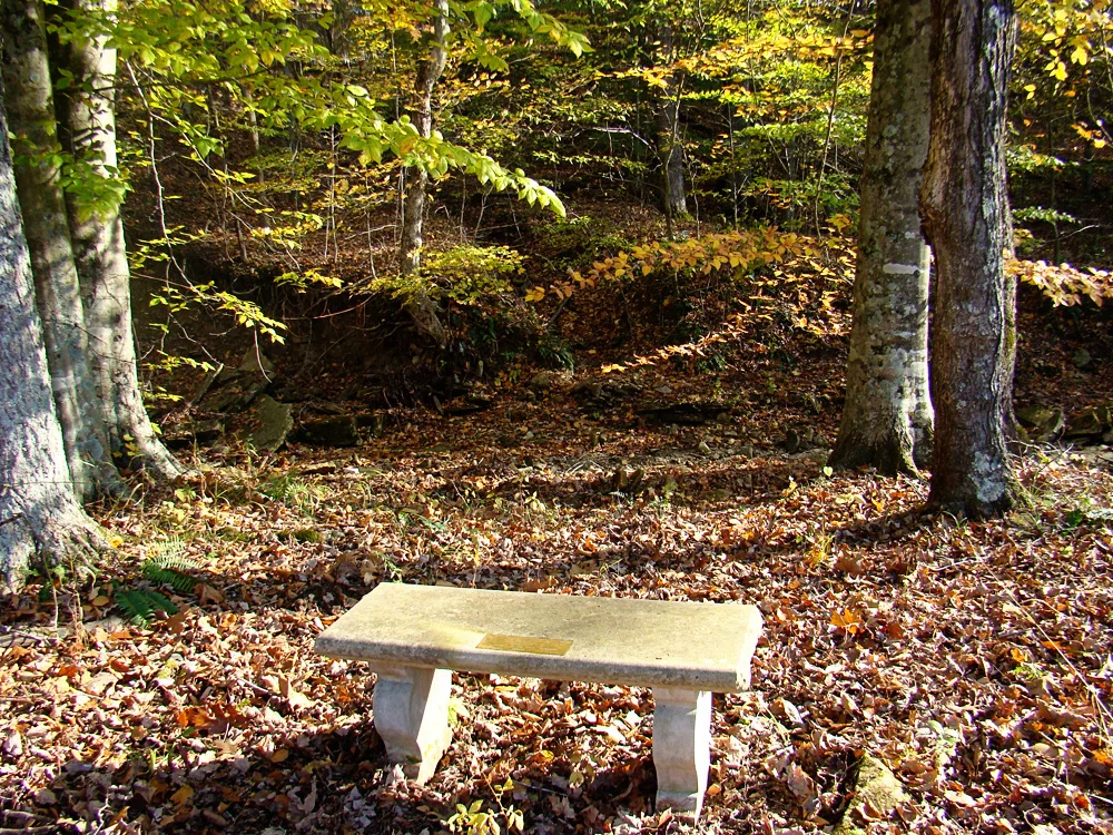 A quiet place to sit along the creek