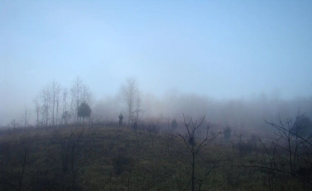 Our hills on a foggy morning