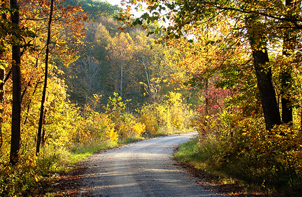 Our road, autumn